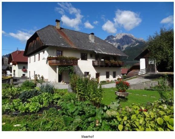 Lissis Bauernhof Appartments Gundersheim Buitenkant foto